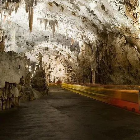 Apartma Lavanda Istriana *