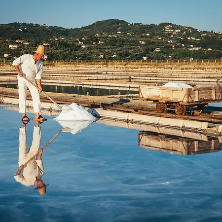 Apartma Lavanda Istriana Apartamento