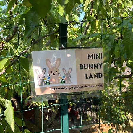 Apartma Lavanda Istriana Daire