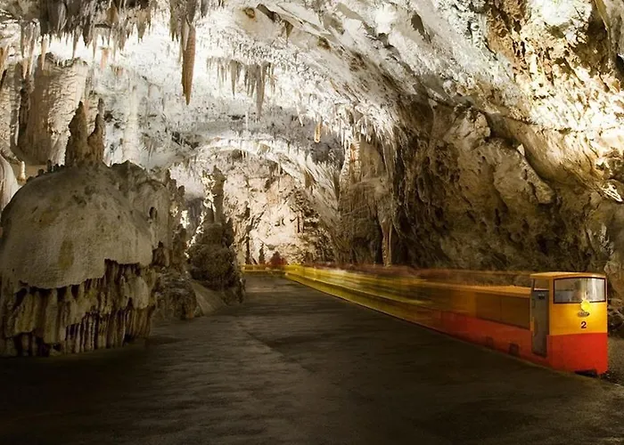 Apartma Lavanda Istriana *