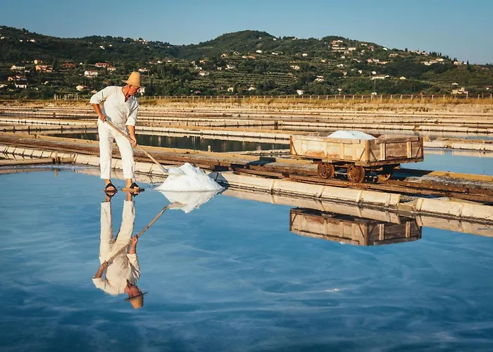 Apartma Lavanda Istriana Daire