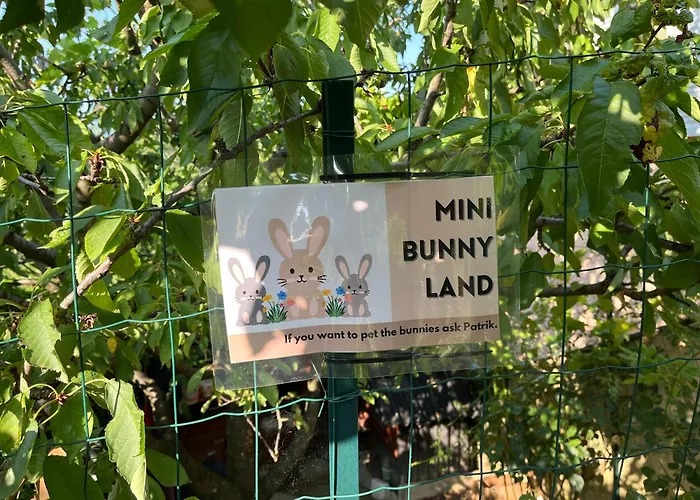 Apartma Lavanda Istriana Daire